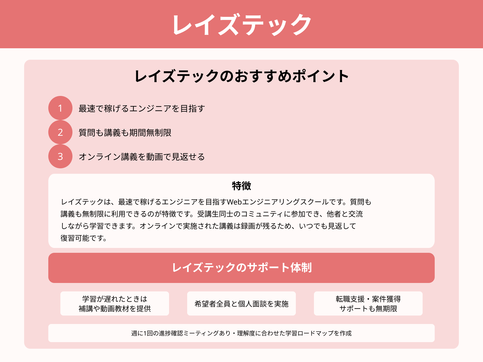 レイズテック